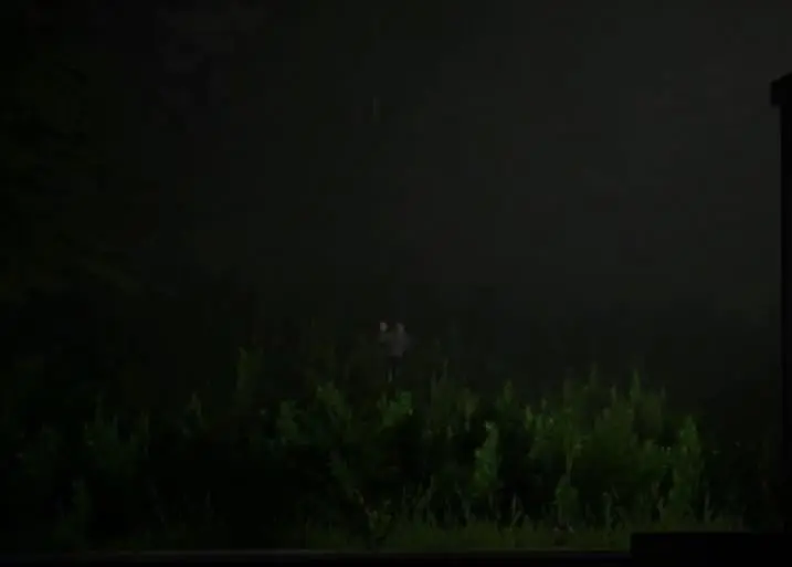 very low resolution photo of someone's backyard with a very small distant Jerma standing in there for some reason